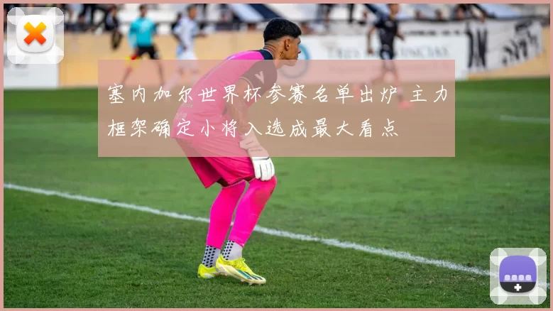 塞内加尔世界杯参赛名单出炉 主力框架确定小将入选成最大看点