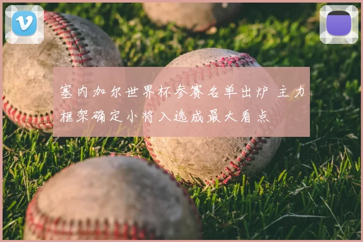 塞内加尔世界杯参赛名单出炉 主力框架确定小将入选成最大看点