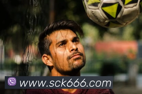 开云手机端·官方版在线 - 开云(中国)APP 封面图